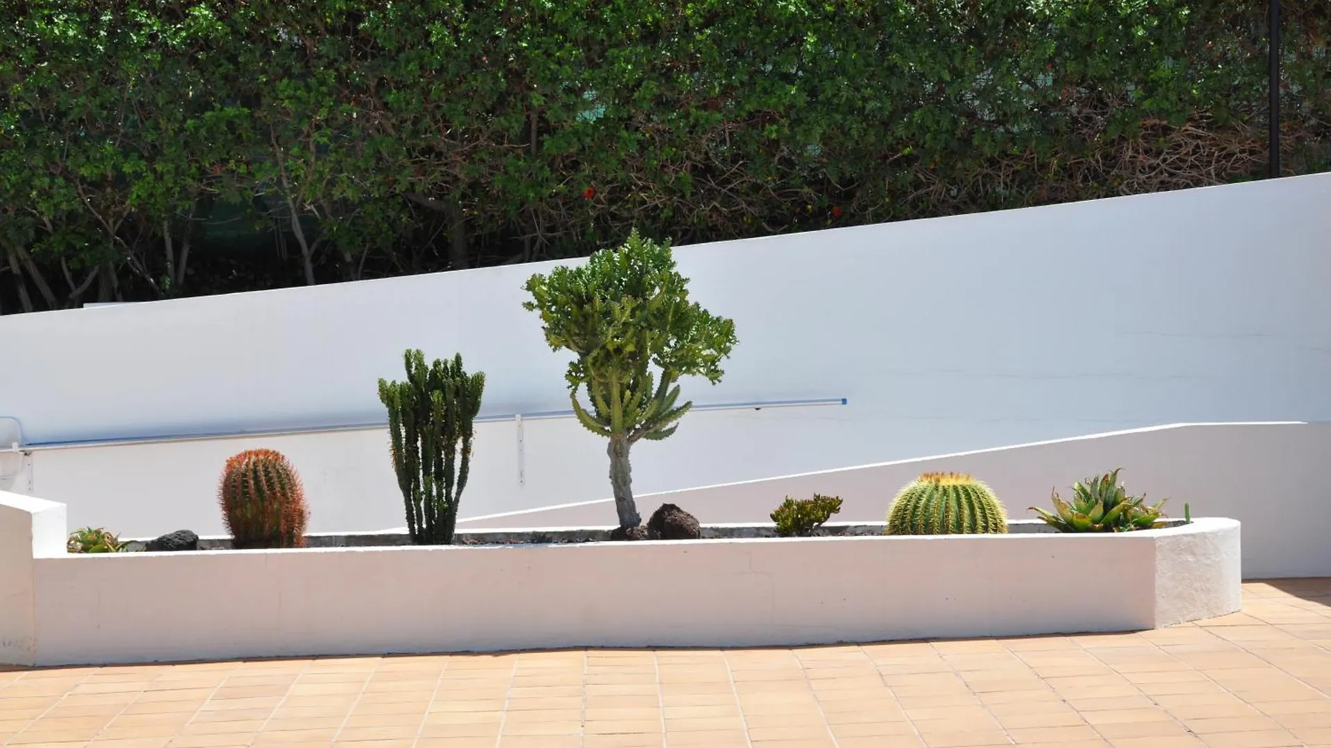 Serenity Garden Μασπαλόμας 0*,  Ισπανία